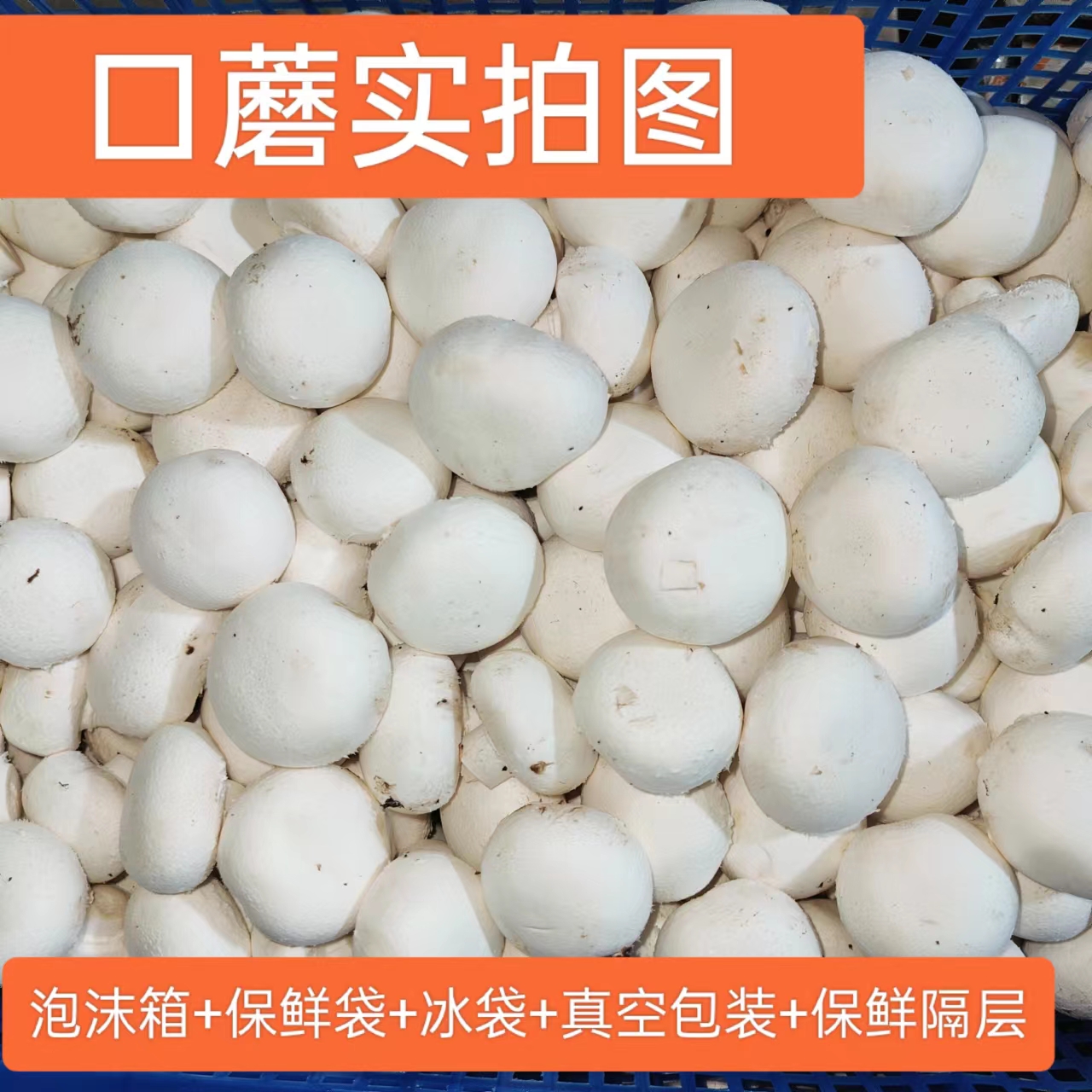 烧烤中使用的各类菌菇搭配建议